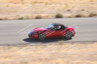 media/Oct-25-2025-West Coast Racing (Sat) [[9fdcbcd09c]]/Yellow group/Turn 2/